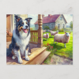Schaapboerderij en Border Collie-ansichtkaart Briefkaart