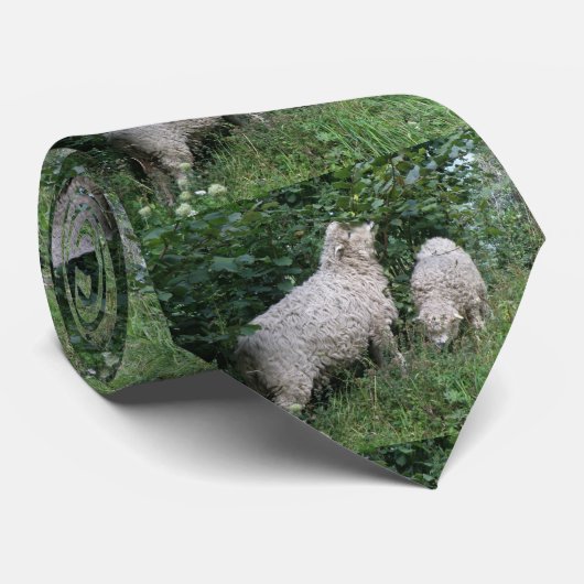 Schaapje eet bladeren stropdas (Opgerold)