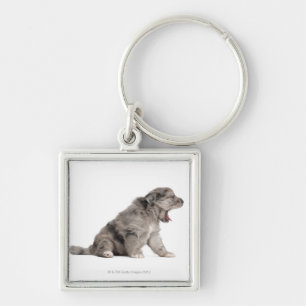Schaappuppy van de Pyreneeën (4 weken) Sleutelhanger