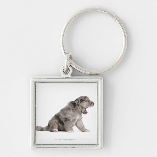 Schaappuppy van de Pyreneeën (4 weken) Sleutelhanger (Voorkant)