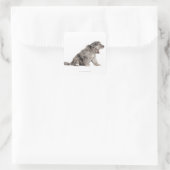 Schaappuppy van de Pyreneeën (4 weken) Vierkante Sticker (Tas)