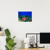 Schaapskop papegaaivis Scarus Poster (Thuiskantoor)