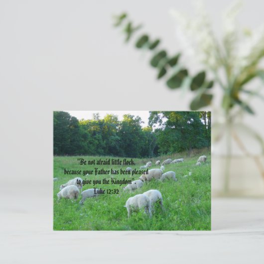Schaapskudde met psalm feestdagenkaart (Staand voorkant)