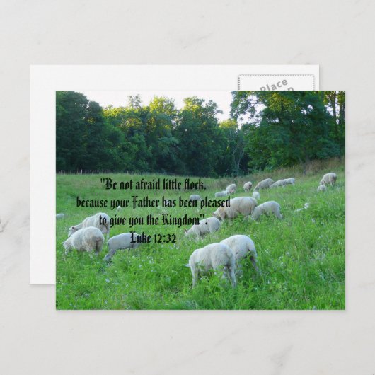 Schaapskudde met psalm feestdagenkaart (Voorkant / Achterkant)