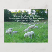 Schaapskudde / Pasen met Bijbelse Psalm Feestdagenkaart (Voorkant)