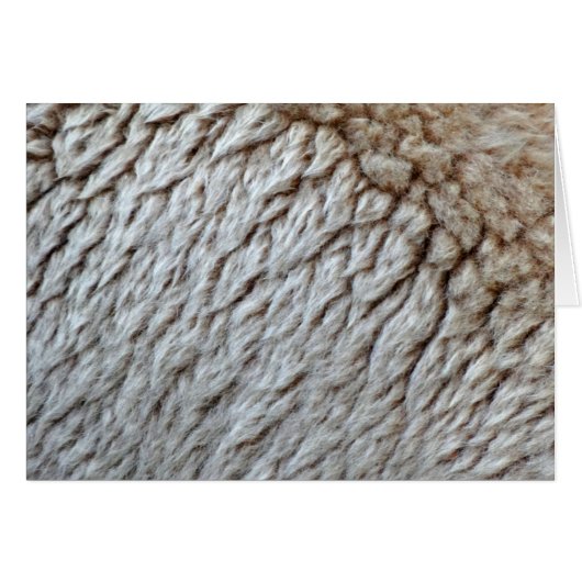 Schaapswol Abstracte Natuurfoto (Voorkant Horizontaal)