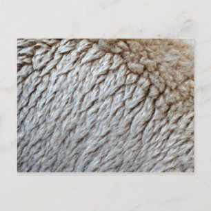 Schaapswol Abstracte Natuurfoto Briefkaart