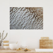 Schaapswol Abstracte Natuurfoto Poster (Keuken)