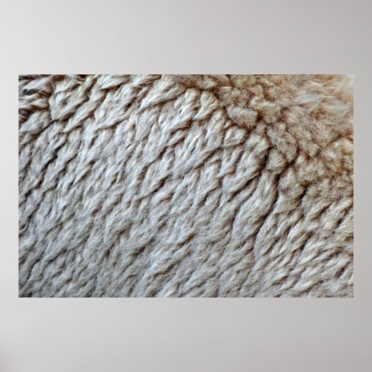 Schaapswol Abstracte Natuurfoto Poster (Voorkant)