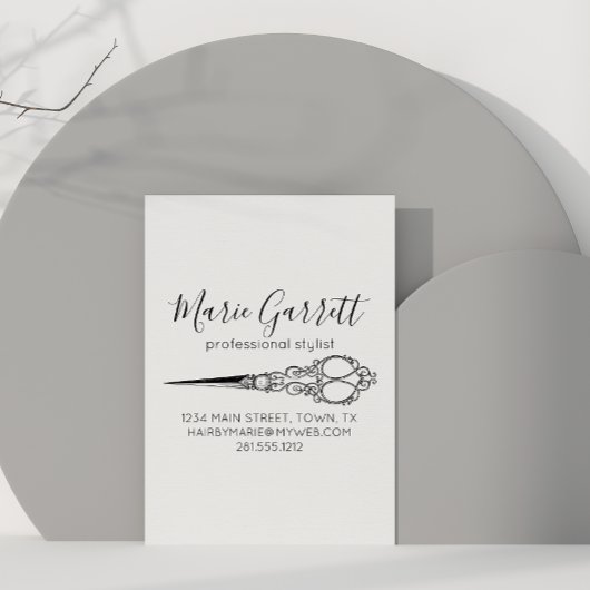  schaar Salon Magnetic