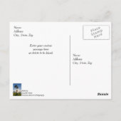 Schaar Silhouet Palmboom Dankkaart Briefkaart (Achterkant)