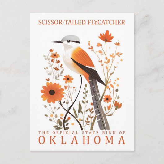 Schaarstaartvliegenvanger vogel van Oklahoma Briefkaart (Voorkant)