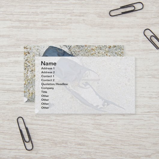 Schaats Eieren Hoesjes op de strand Visitekaartje (Voorkant / Achterkant in situ)