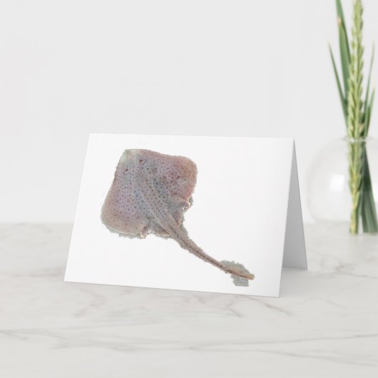 Schaats Note Kaart (Voorkant)