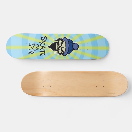Schaats- of sterskateboard skateboard (Horizontaal)