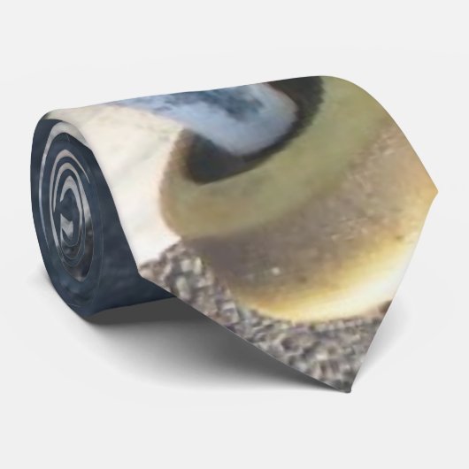 Schaats Stropdas (Opgerold)