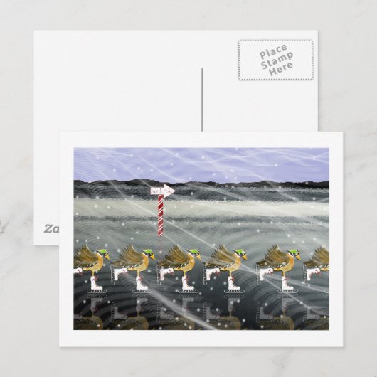 Schaatsen Ducks voor Kerstmis Feestdagenkaart (Voorkant / Achterkant)