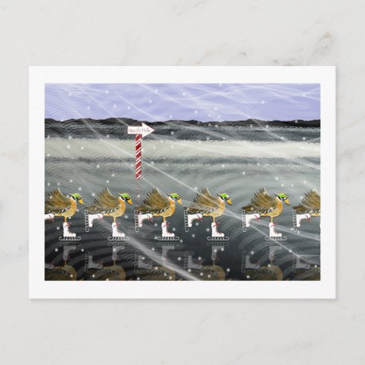 Schaatsen Ducks voor Kerstmis Feestdagenkaart (Voorkant)