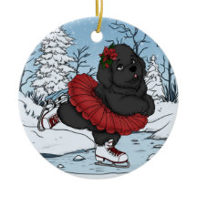 Schaatsen Newfoundland Puppy Winter Wonderland