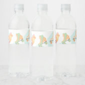 Schaatsverjaardag Pastelsterren Waterfles Etiket (Flessen)