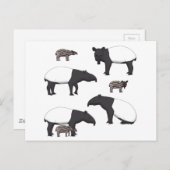 Schabrackentapir Auswahl Briefkaart (Voorkant / Achterkant)