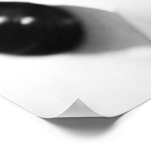 Schach Poster (Hoek)