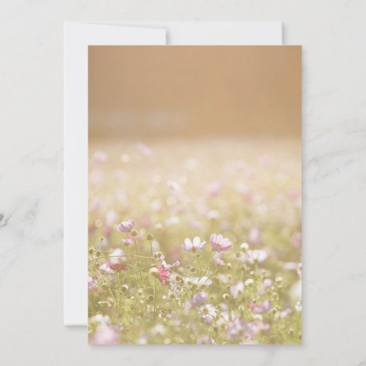 Schadelijke uitnodiging| Bij het opslaan van geheu Kaart (Achterkant)