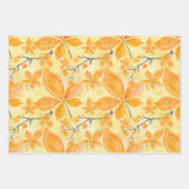 SCHADEN VAN HET ORANJE- EN GEEL-AUTUMNVERLIES INPAKPAPIER VEL (Voorkant)