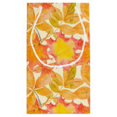 SCHADEN VAN ORANJE- EN GEEL VAL KLEIN CADEAUZAKJE (Achterkant)