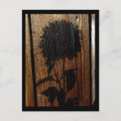 schaduw briefkaart (Voorkant)