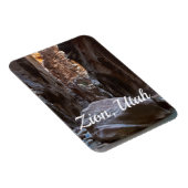 Schaduw en licht in de Narrows Magneet (Rechterzijde)