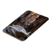 Schaduw en licht in de Narrows Magneet (Linkerzijde)