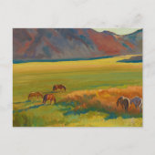 Schaduw en paarden door Maynard Dixon Briefkaart (Voorkant)