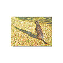 Schaduw en zijn hond canvas kunst