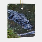 Schaduw in het ondiepe keramisch ornament (Rechts)