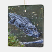 Schaduw in het ondiepe keramisch ornament (Links)