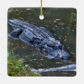 Schaduw in het ondiepe keramisch ornament (Achterkant)