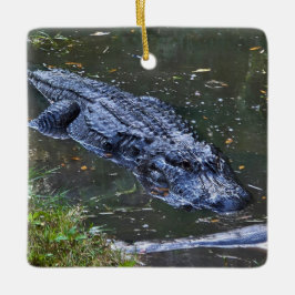 Schaduw in het ondiepe keramisch ornament