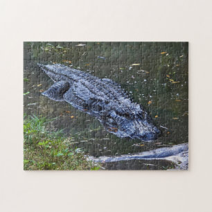 Schaduw in het ondiepe legpuzzel