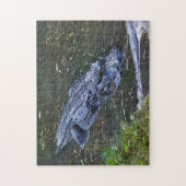 Schaduw in het ondiepe legpuzzel (Verticaal)