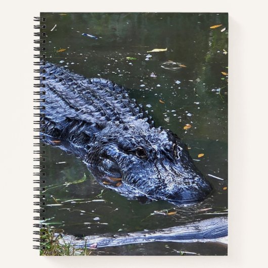 Schaduw in het ondiepe notitieboek (Voorkant)