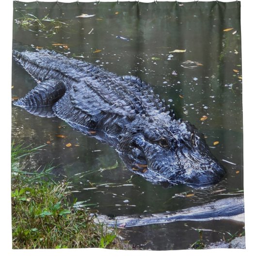 Schaduw in het ondiepe water douchegordijn (Voorkant)
