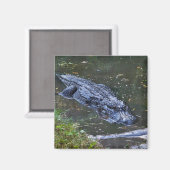 Schaduw in het ondiepe water magneet (Voorkant / Achterkant)