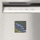Schaduw in het ondiepe water magneet (Insitu (Vaatwasser))