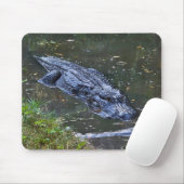 Schaduw in het ondiepe water muismat (Met muis)