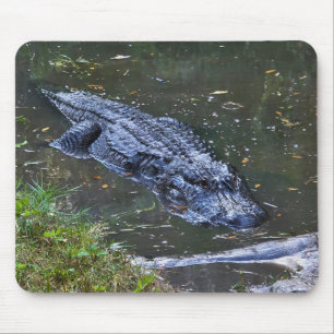 Schaduw in het ondiepe water muismat