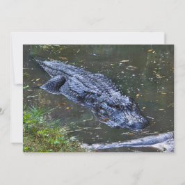 Schaduw in het ondiepe water notitiekaartje