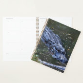 Schaduw in het ondiepe water planner (Display)