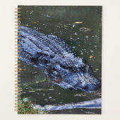Schaduw in het ondiepe water planner (Voorkant)