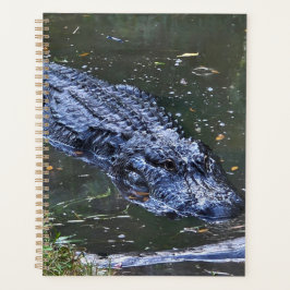 Schaduw in het ondiepe water planner